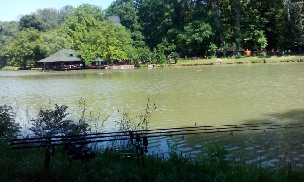 Monia Dream Apartment - Belgrade Lake & Fair ภายนอก รูปภาพ